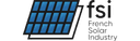 FSI logo